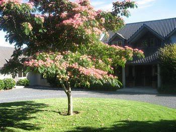 Heron Hill Hotel Kerikeri Zewnętrze zdjęcie